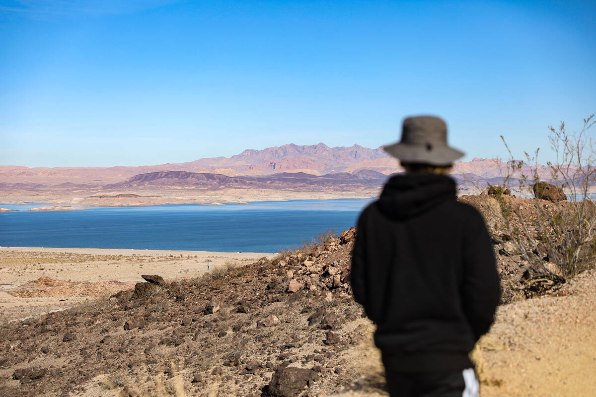 Silas Anthony, 17, a student with the Nevada Connections Academy, an online public charter scho ...