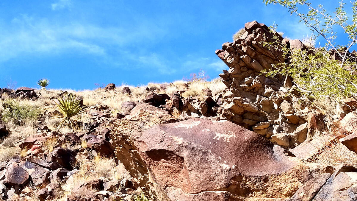 Petroglyph Canyon is accessible to anyone willing to take a 4-mile hike in Sloan Canyon Nationa ...