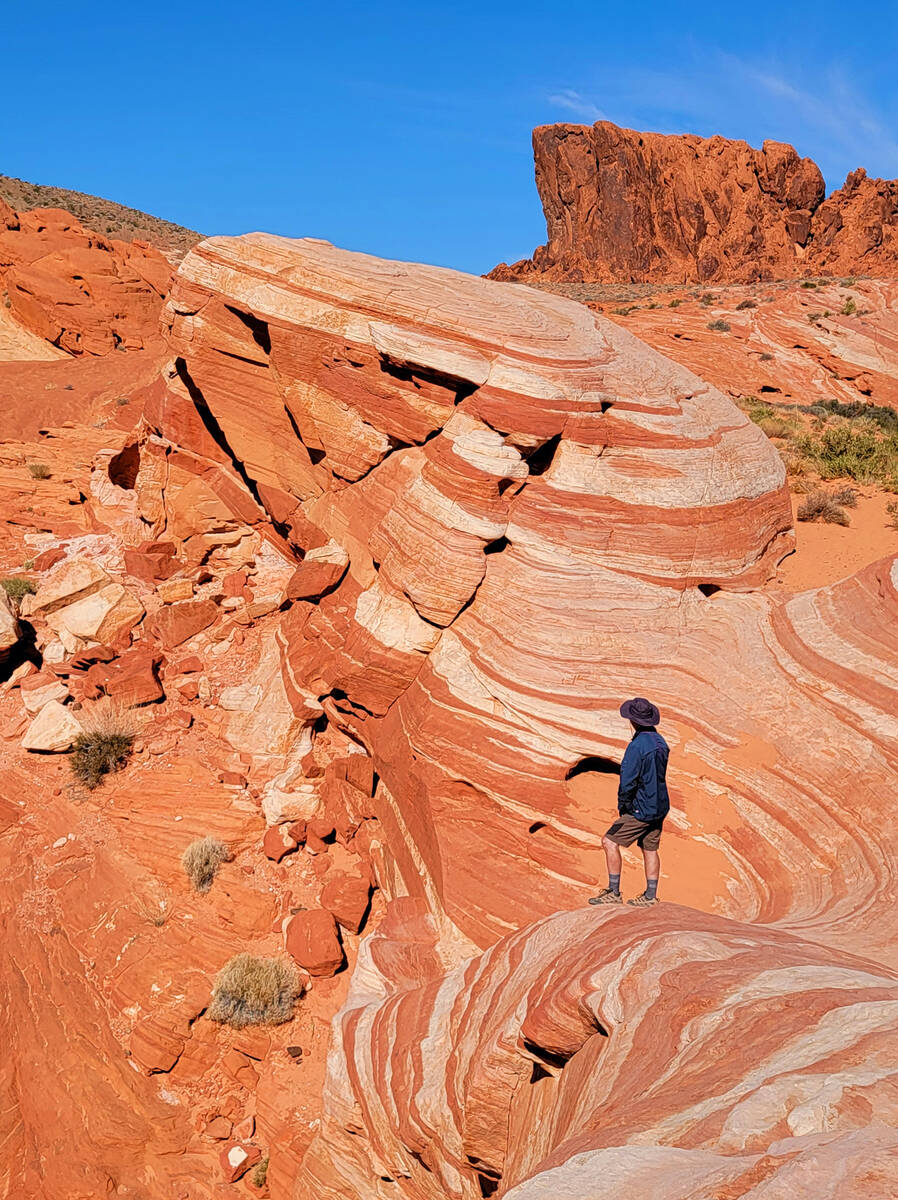 The Fire Wave’s swirls, curls and colors at Valley of Fire State Park compete with the g ...