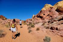 Visiting Northern Nevadans roam in late October through the colorful rockscape at Valley of Fir ...