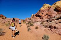 Visiting Northern Nevadans roam in late October through the colorful rockscape at Valley of Fir ...