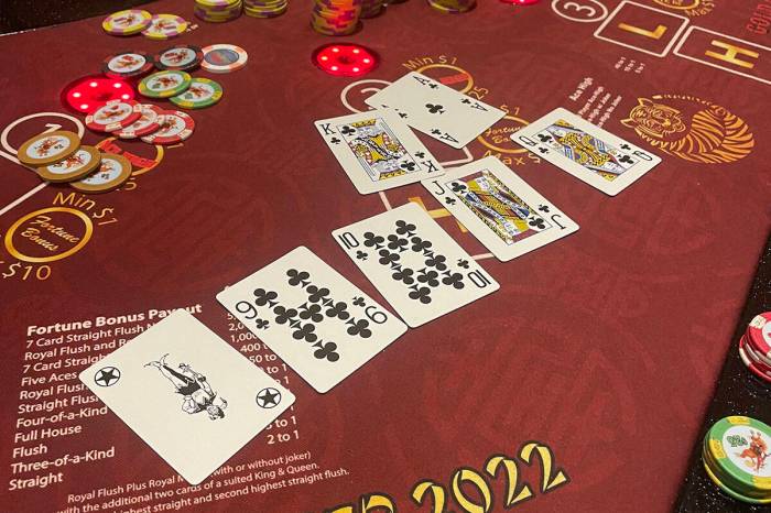 Vegas Pinochle Cards-1215