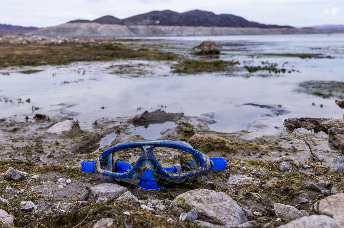 A pair of swim goggles at the waterline where a body was found nearby at Swim Beach within the ...