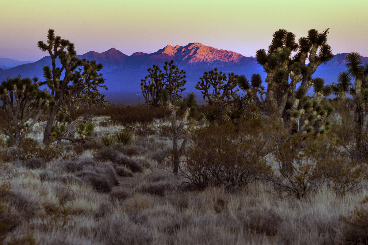 Spirit Mountain reflects the last glow of sunlight within the Avi Kia Ame proposed National Mon ...