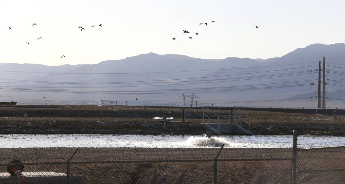 Evaporation ponds at the Boulder City wastewater treatment facility are shown on Wednesday, Nov ...