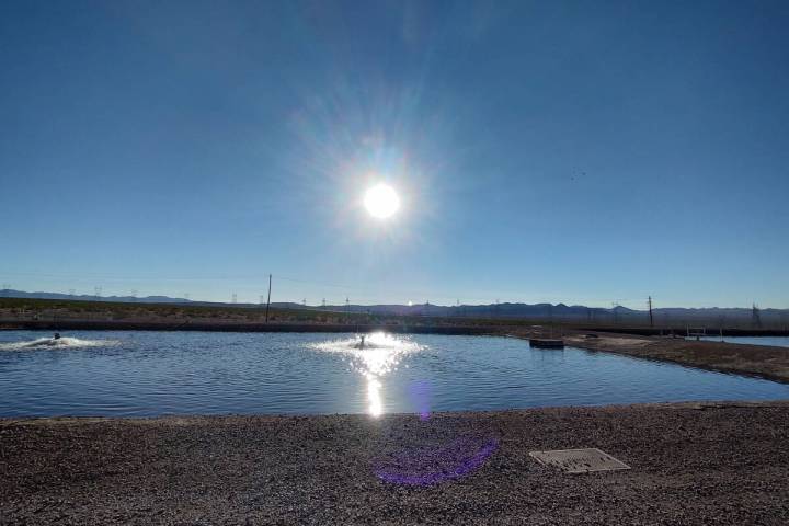 One of about a dozen Boulder City detention ponds that have been operating since the 1970s. Lak ...
