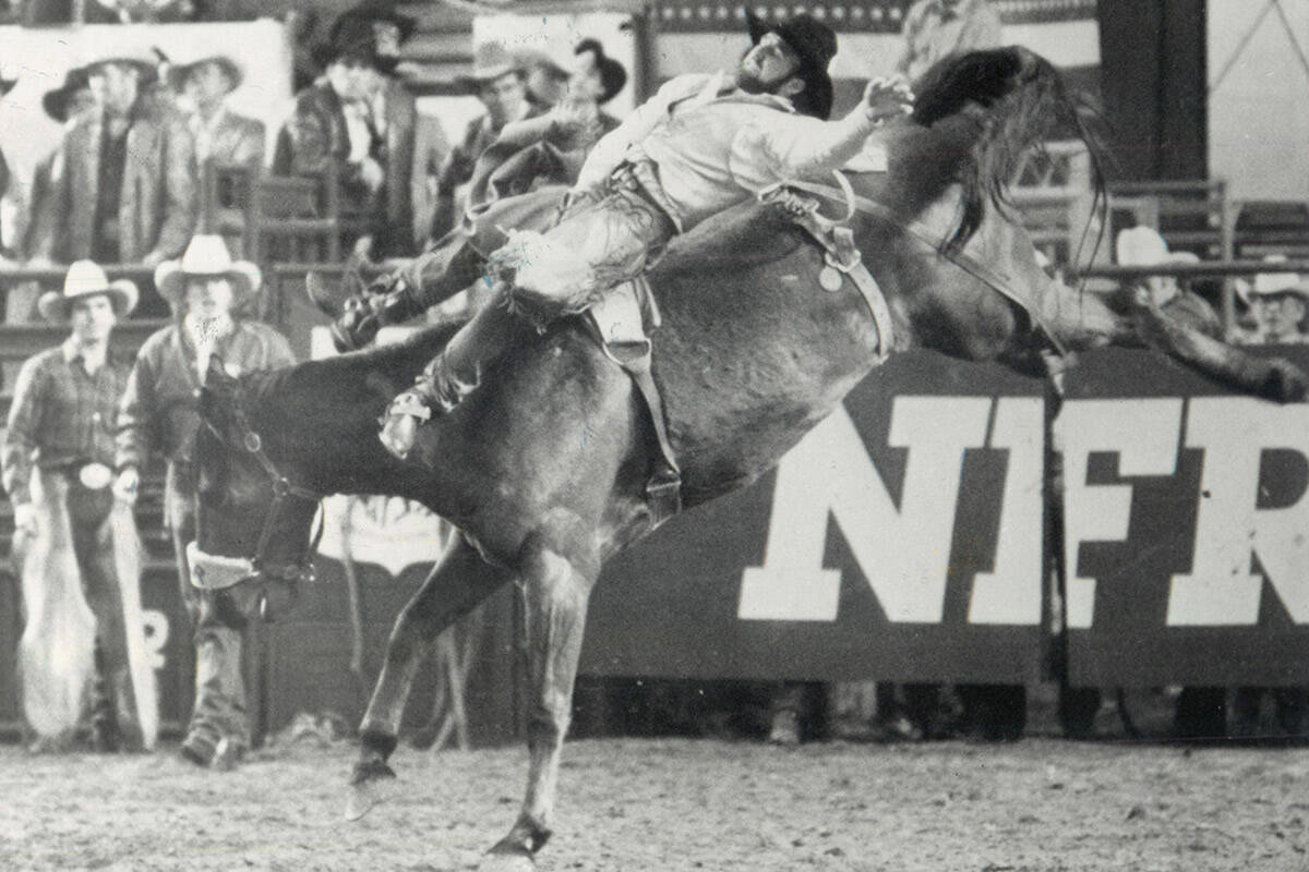 Lewis Field of Elk-Ridge, UT., competes in bareback riding on Dec. 5, 1985. (Courtesy of Nation ...