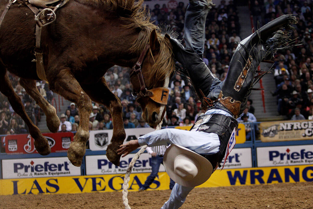 Cort Scheer gets tossed off during the saddle bronc event during the 9th performance at the Nat ...