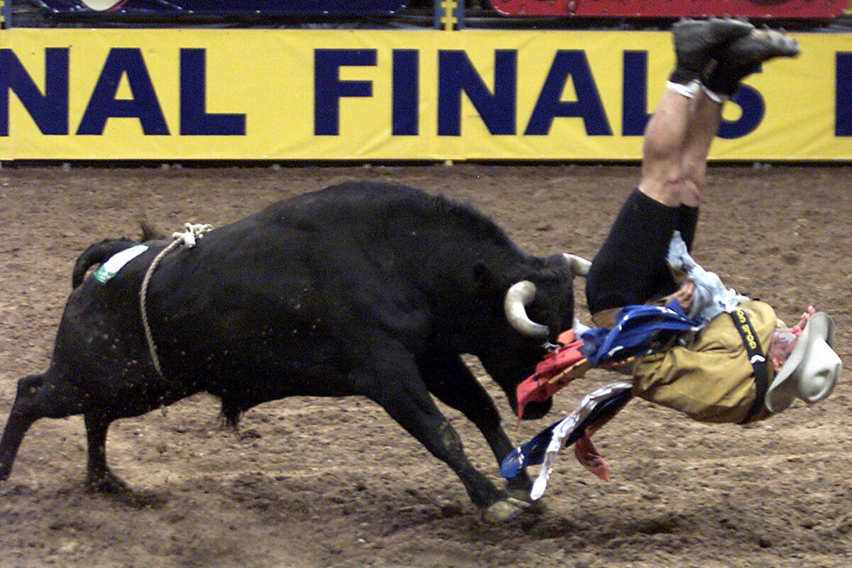 Doug Forzani of Watsonville, Calif. gets flipped in the bull fighting competition during the Na ...