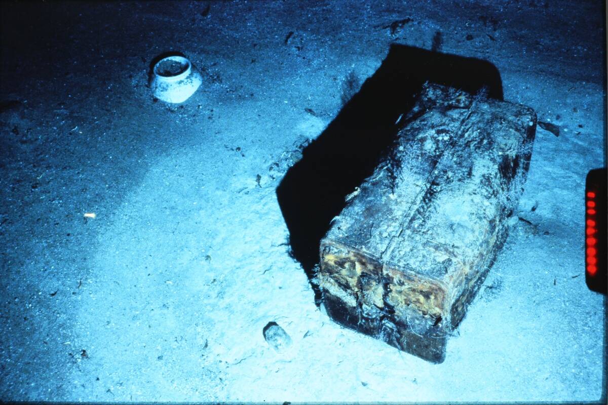 In this photo provided by the California Gold Marketing Group is the trunk belonging to S.S. Ce ...