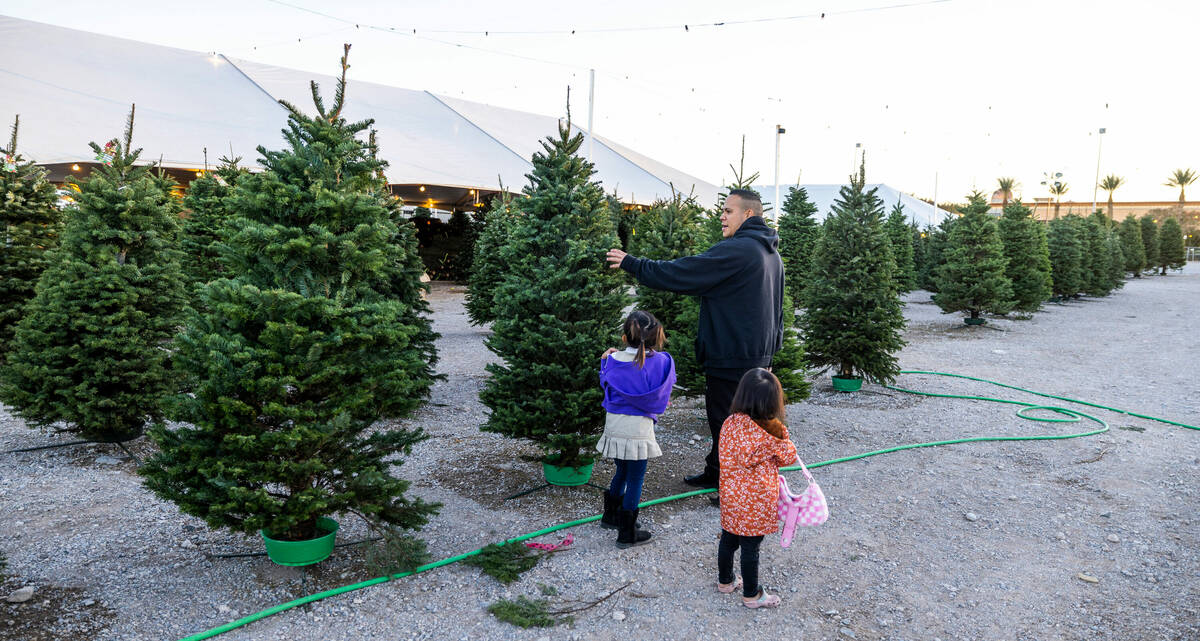 Tavin Winward with daughters Kamea, 5, and Tavea, 3, find their perfect tree at Rudolph's Chris ...
