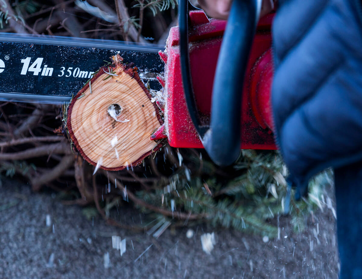 A tree receives a fresh cut during purchase at Rudolph's Christmas Tress on Tuesday, Nov. 29, 2 ...