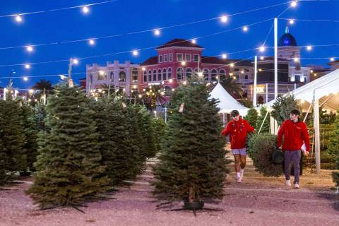 A tree is carried to the prep area for a customer at Rudolph's Christmas Tress on Tuesday, Nov. ...