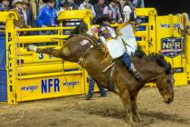 Bareback rider Kaycee Feild of Genola, Utah, rides Sunday Sinner during the National Finals Rod ...