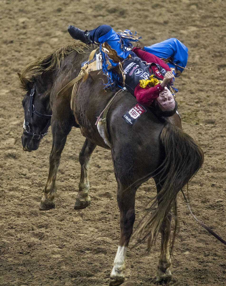 Cole Reiner of Buffalo, WY., lays all the way back on his winning ride during Bareback Riding i ...