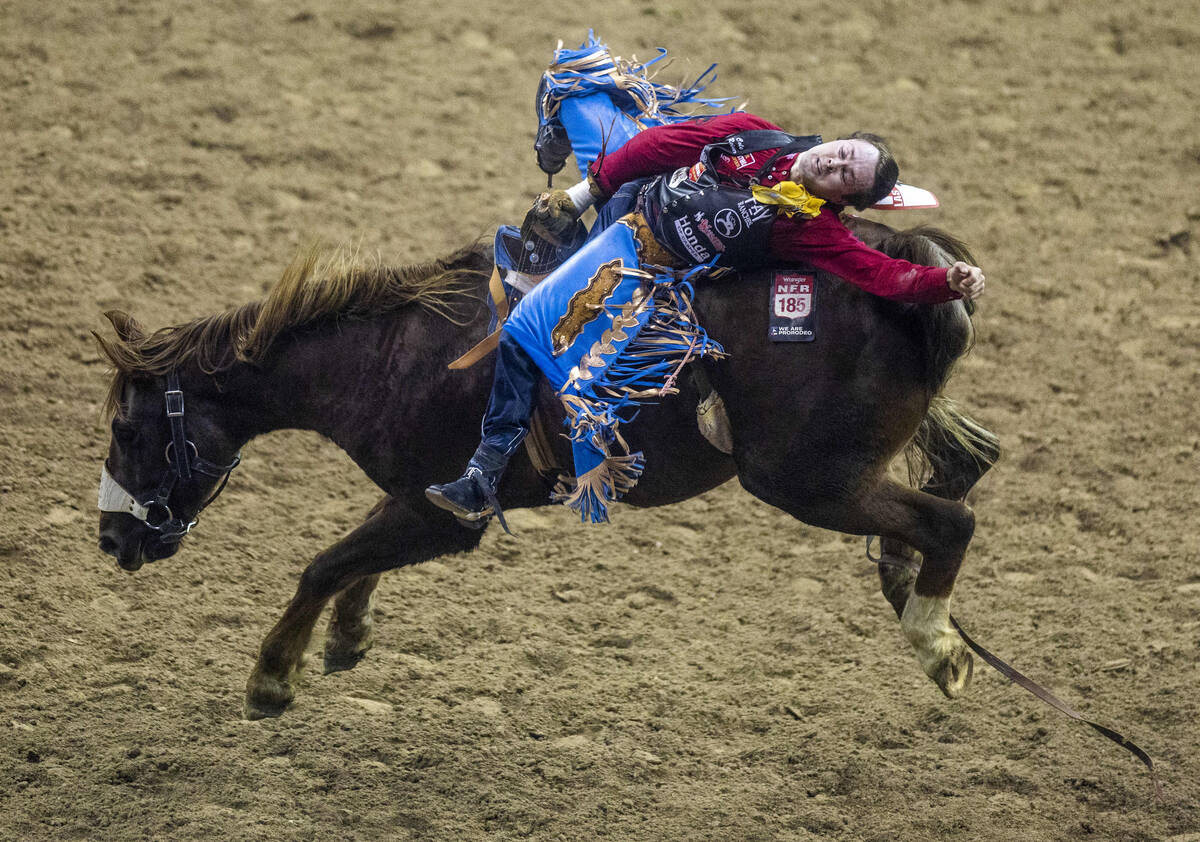 Cole Reiner of Buffalo, WY., lays all the way back on his winning ride during Bareback Riding i ...
