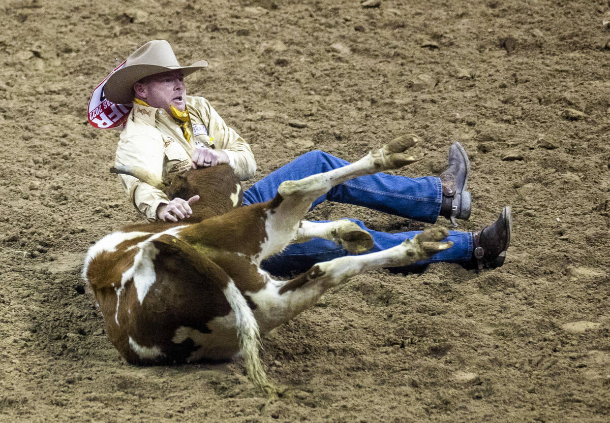 Hunter Cure Holliday, TX., puts a steer on his side in a winning run during Steer Wrestling in ...