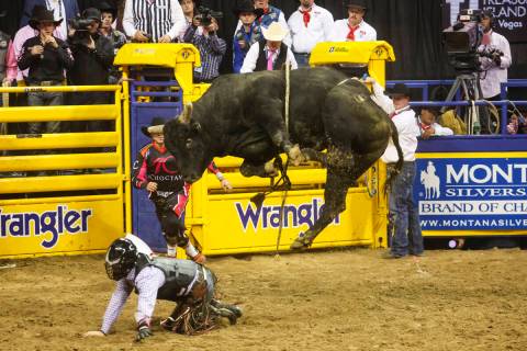 Trey Holston, of Fort Scott, Kan., gets bucked off of Time for Magic while competing in bull ri ...