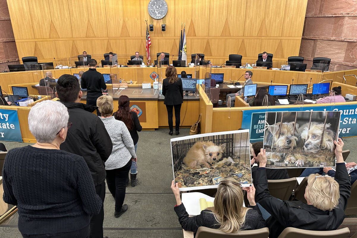 The Clark County Commission considers arguments banning the sale of dogs, cats, rabbits and pot ...