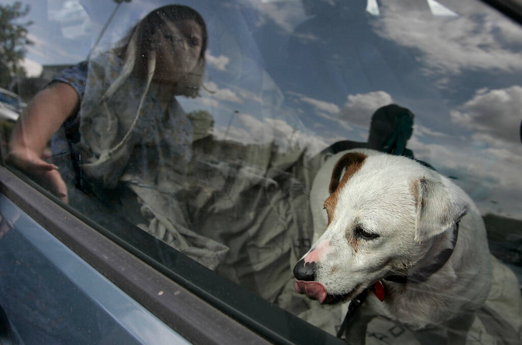 States with Retail Pet Sale Bans