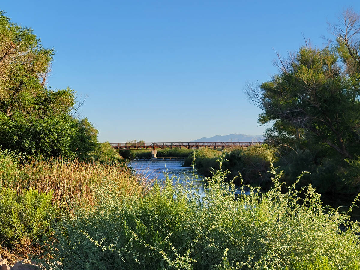 The Big Weir Bridge is a popular destination for those visiting the Wetlands Park's designated ...
