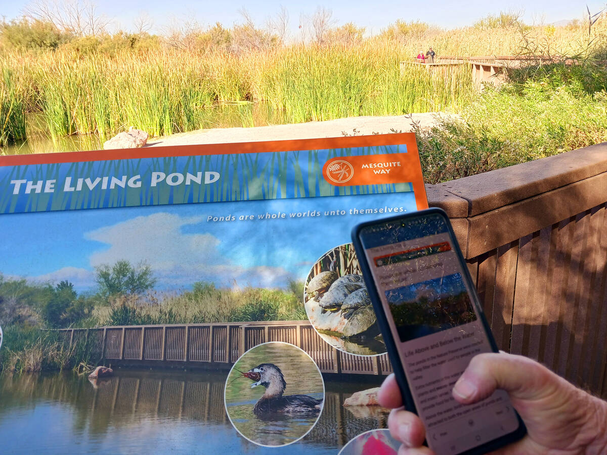 A visitor tries out the new Wetlands Park Navigator app, which can turn a phone into an informa ...