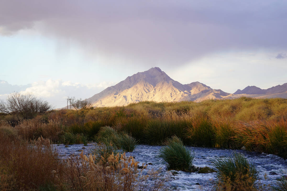 A Las Vegas Wash overlook at Clark County Wetlands Park includes east valley mountain views. (N ...