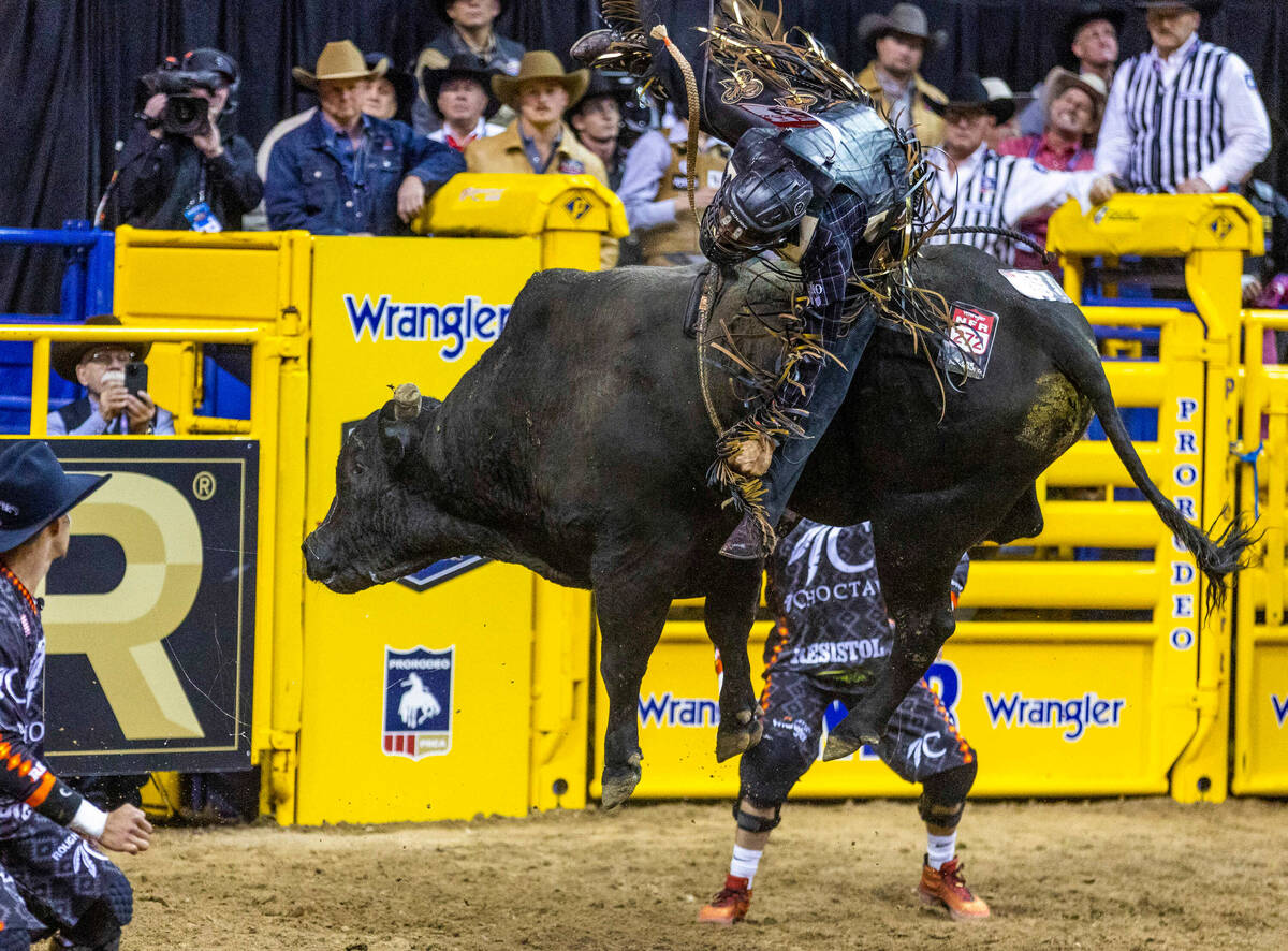 Reid Oftedahl of Raymond, Minn., falls off of Under The Influence in Bull Riding during the Nat ...