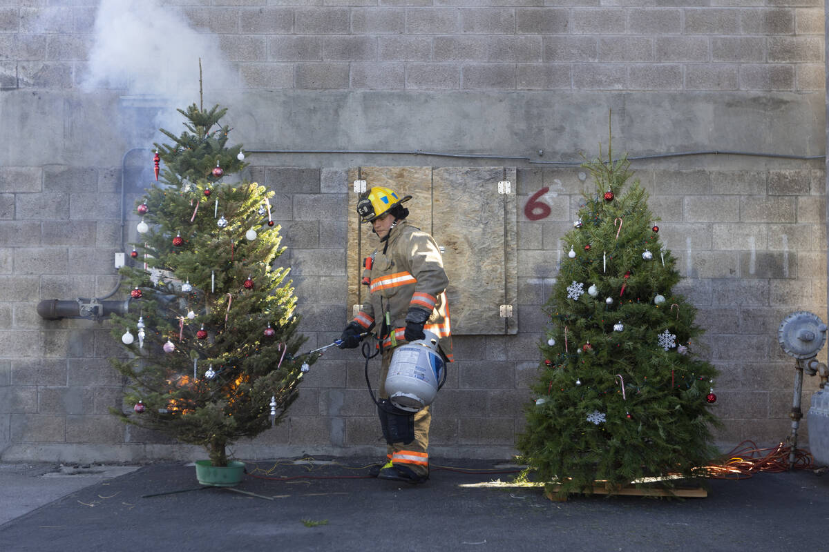 A firefighter lights up a Christmas tree on fire during a demonstration on the potential fire d ...