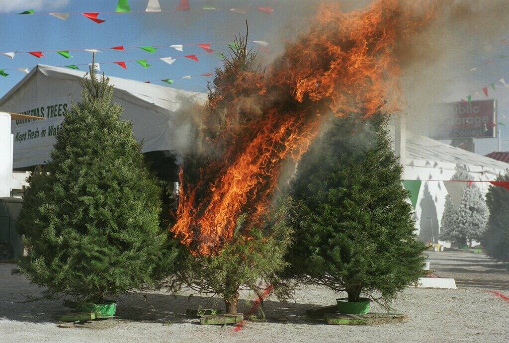 A Christmas tree burns during a demonstration by the Clark County Fire Department on the flamma ...