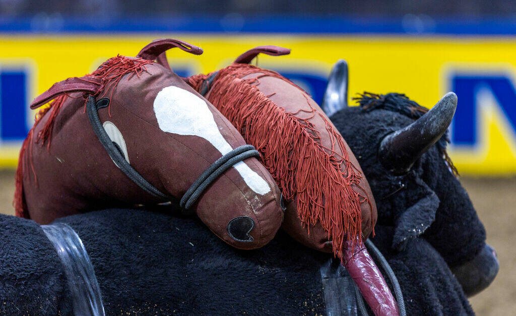 Stuffed horses are set atop a stuffed bull for participants to use during the 38th Exceptional ...