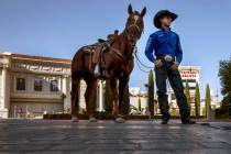 Cowboy Sage Kimzey at Caesars Palace on hand to promote the upcoming National Finals Rodeo on W ...