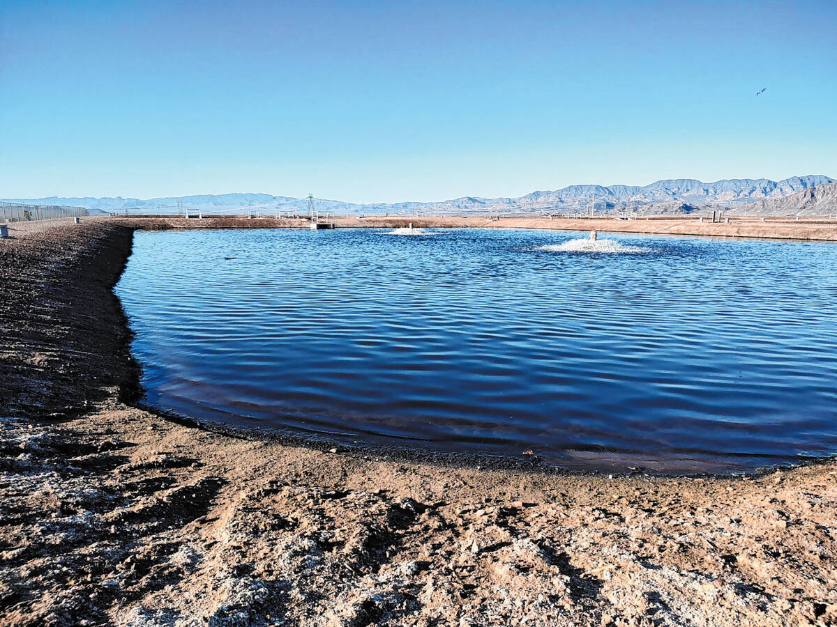 This is one of about a dozen Boulder City detention ponds that have been operating since the 19 ...