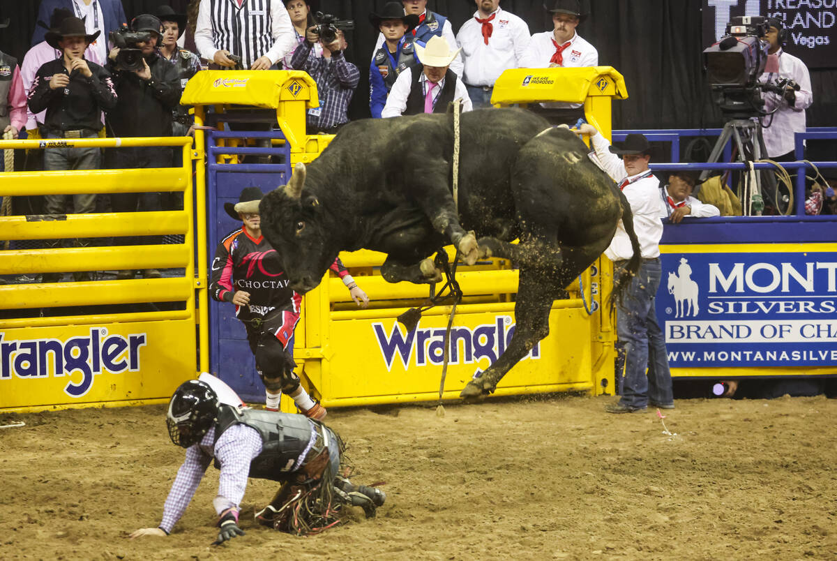 Trey Holston, of Fort Scott, Kan., gets bucked off of Time for Magic while competing in bull ri ...