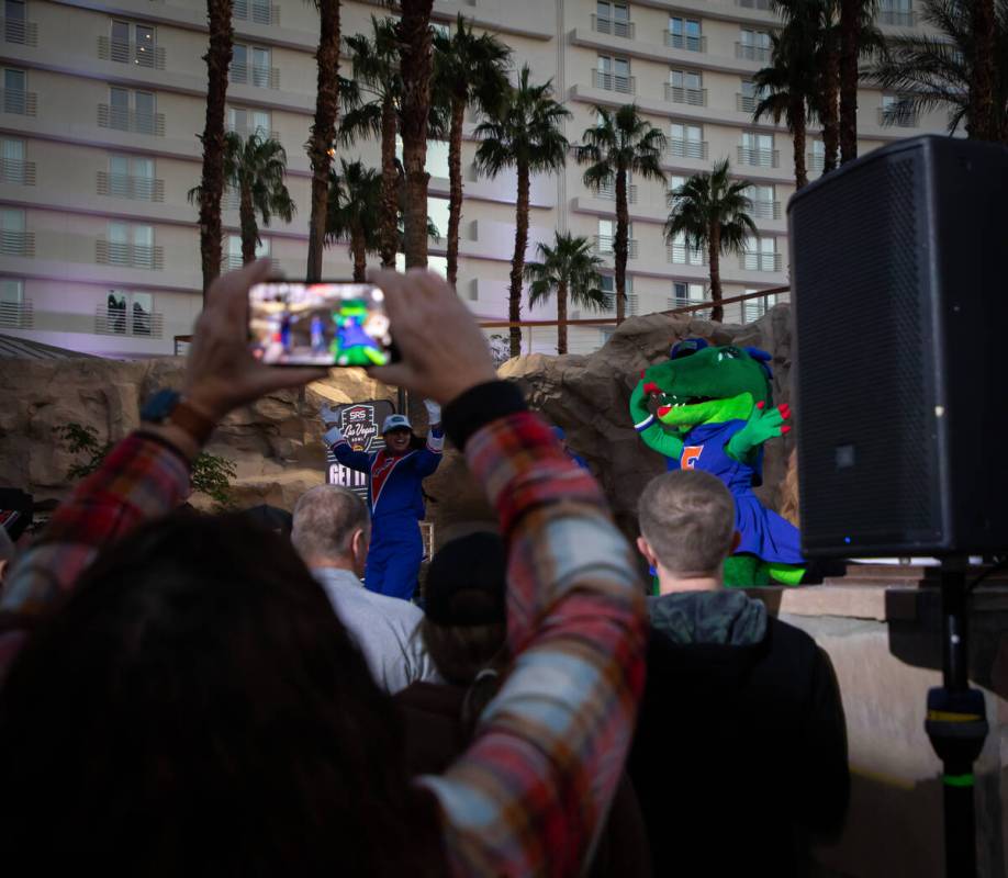 University of Florida’s mascots entertain the crowd during a pep rally for both Universi ...