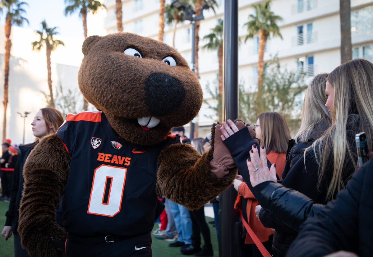 People greet Benny Beaver during a pep rally for University of Florida and Oregon State Univers ...