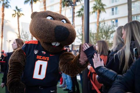 People greet Benny Beaver during a pep rally for University of Florida and Oregon State Univers ...