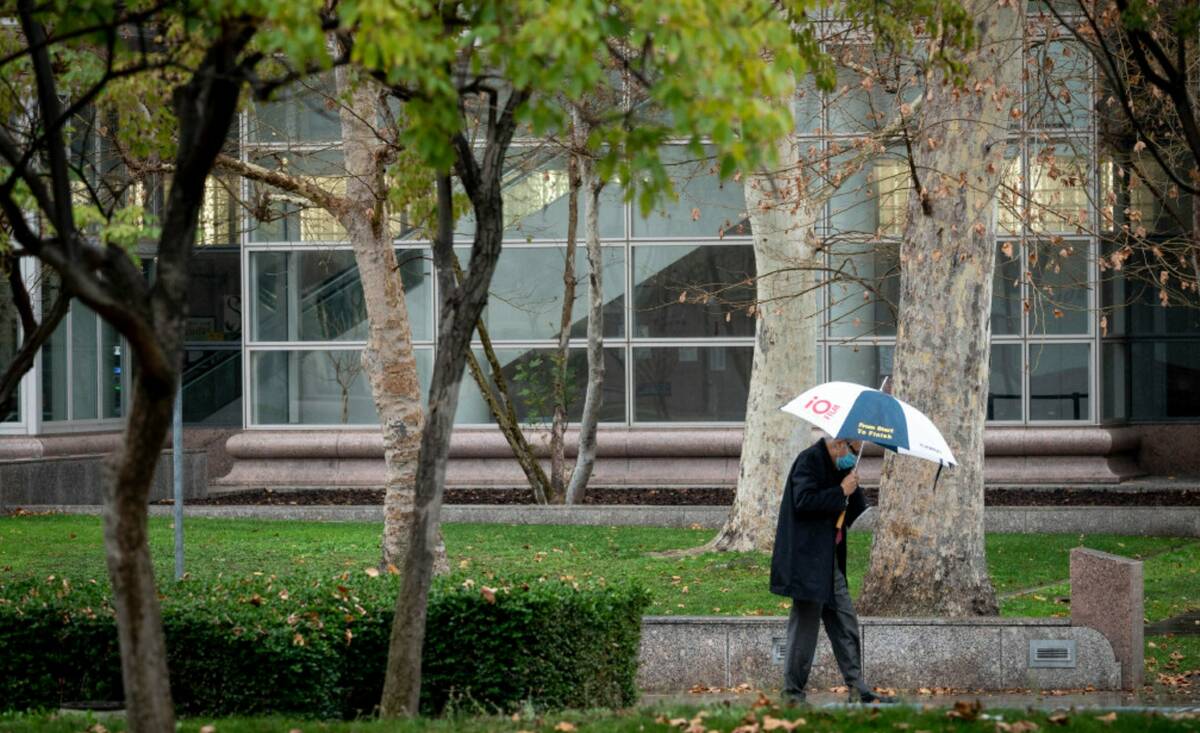 Umbrellas come out near the Van Nuys courthouse as rain begins to fall in Southern California T ...