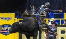 NFR rider clashes heads with bull, faces long recovery