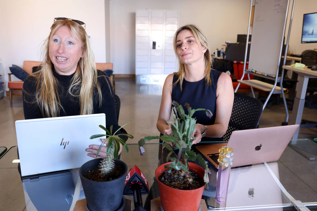 Lindsay Ballengee, left, and Marta Spegman, co-founders of SafeArbor, talk to a reporter in the ...