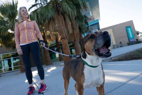 Mary Margaret Madden of Las Vegas poses for a photo with Lumpia, a dog who is able to be foster ...