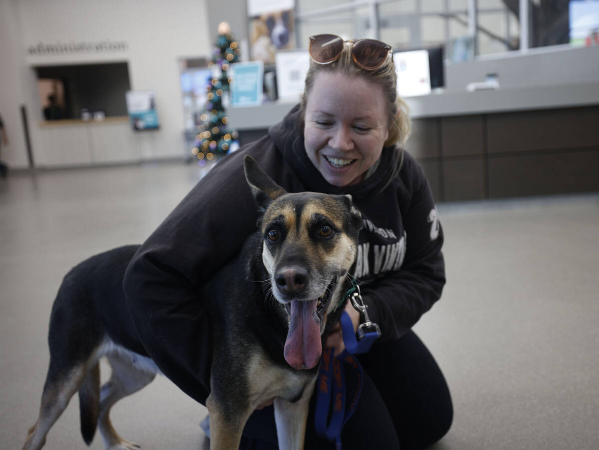 Samantha Miles of Las Vegas drops off a dog named Bones, at The Animal Foundation, Friday, Dec. ...
