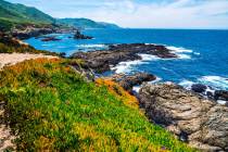 Spring time sunny day bring life to the Northern California coastline near Monterrey and Santa ...