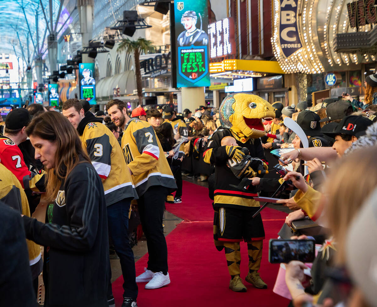 The Las Vegas Golden Knights team members and Chance walk down the red carpet during a Fan Fest ...
