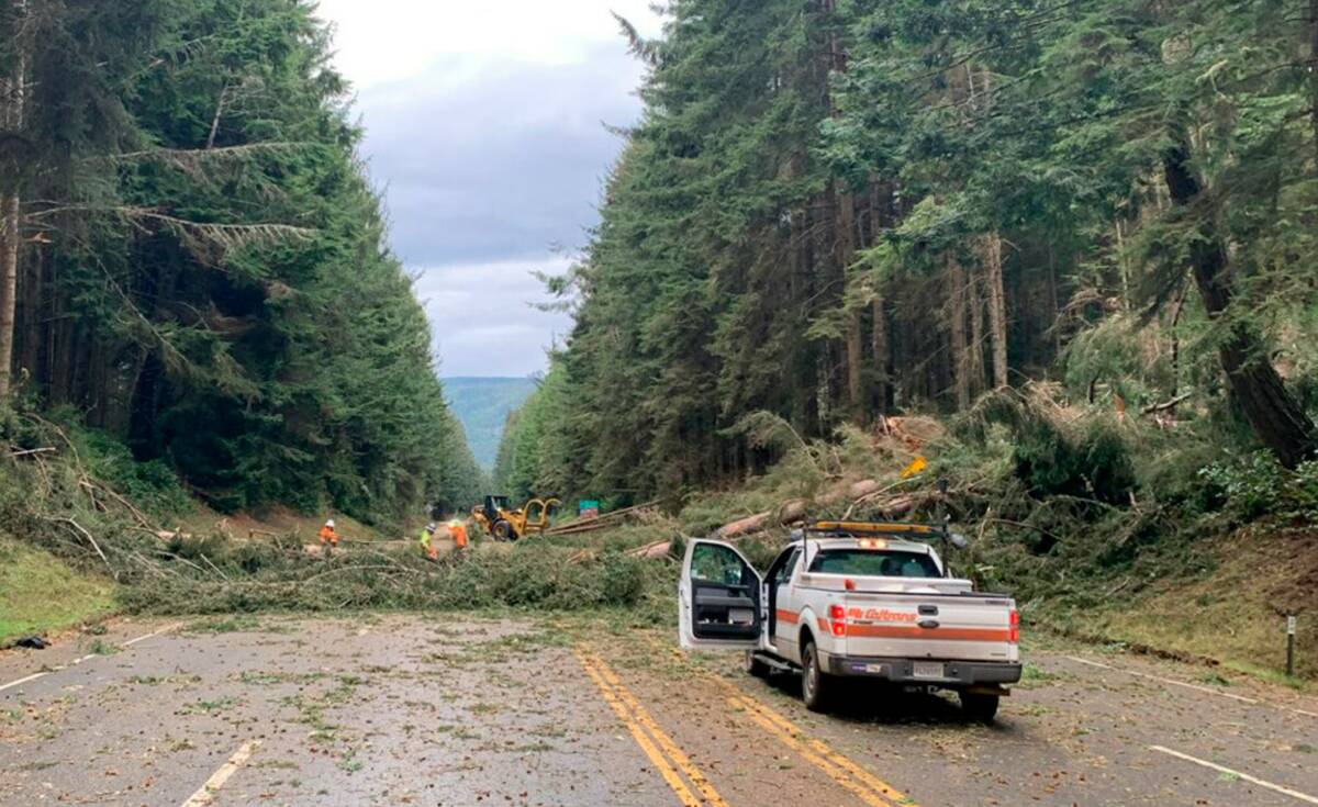 Crews work at removing multiple fallen trees blocking U.S. Highway 101 in Humboldt County near ...