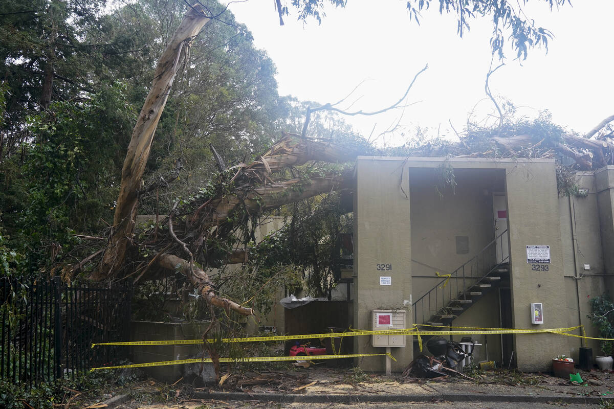 Damage to an apartment building can be seen after a tree toppled over in Oakland, Calif., Thurs ...
