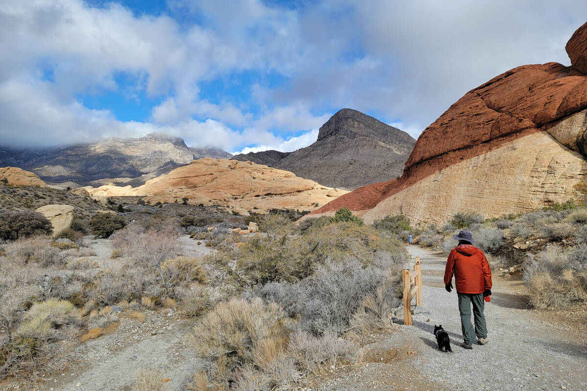 Chilly temperatures and light rain didn’t keep away visitors from Red Rock Canyon Nation ...