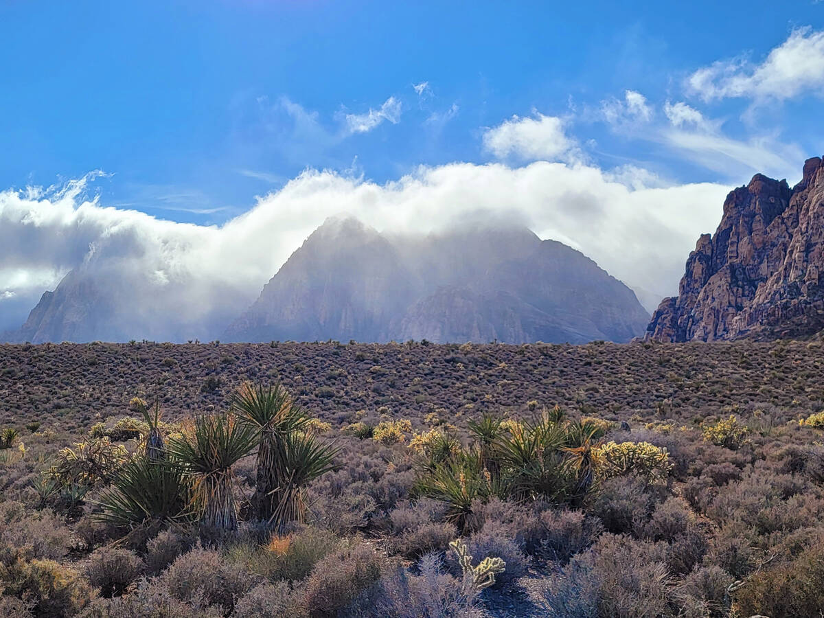 Mist shrouding multicolored sandstone peaks rising a couple of thousand feet above Red Rock&#x2 ...