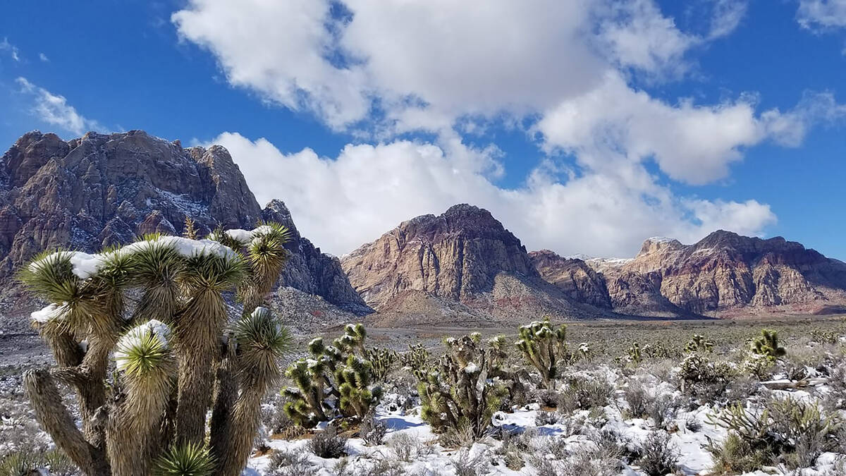 A snowy scene at Red Rock Canyon National Conservation Area following storms in recent years. ( ...