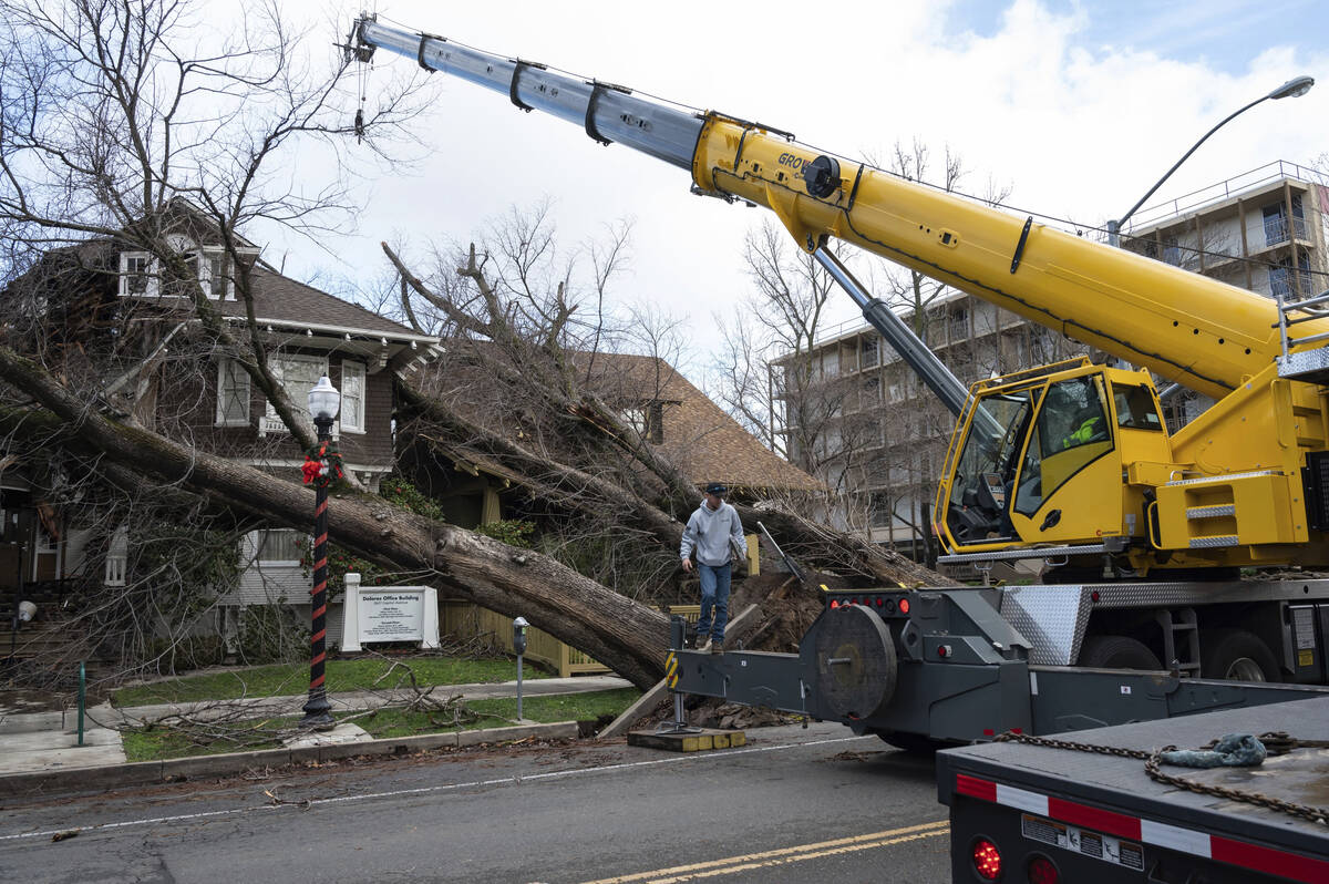 Crane operator Ricky Kapuschinsky, with AAA Crane, gets ready to lift uprooted trees on Capitol ...